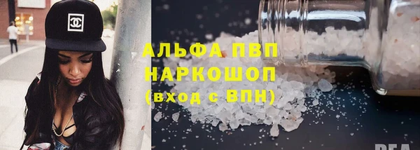 спайс Няндома