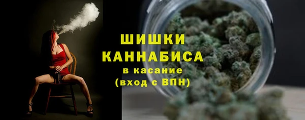 мдпв Нязепетровск