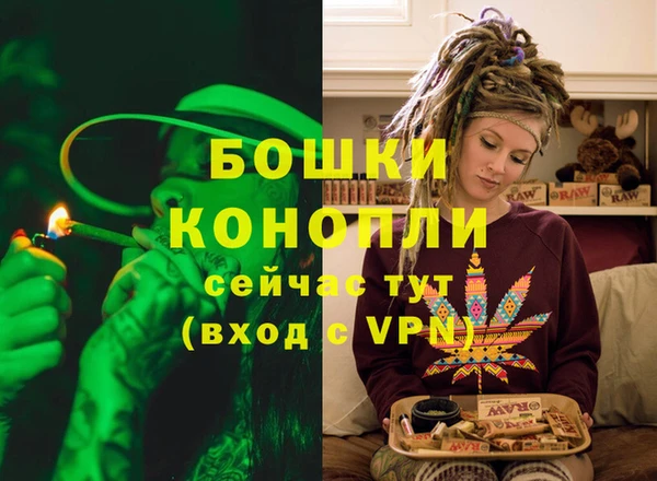 спайс Няндома