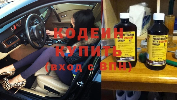 спайс Няндома