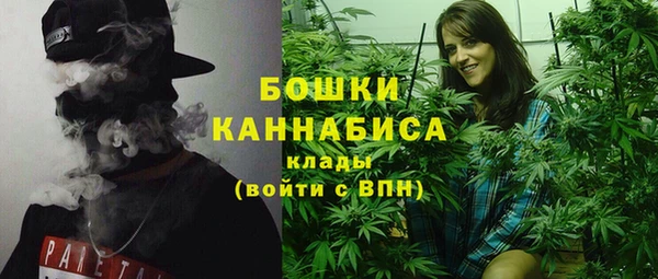 спайс Няндома