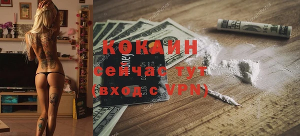 дживик Нягань
