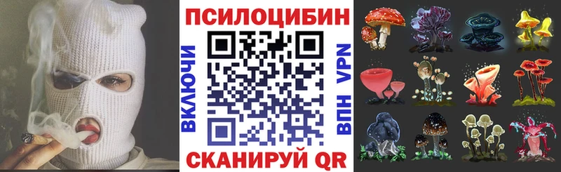 закладка  Сим  Псилоцибиновые грибы мухоморы 